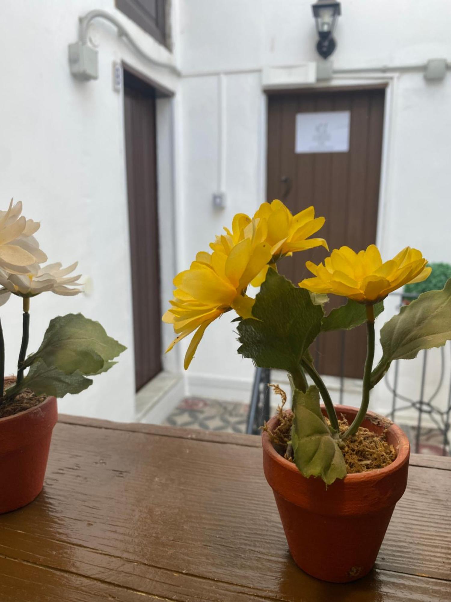 شقة Florhouse Pacini كاتانيا المظهر الخارجي الصورة